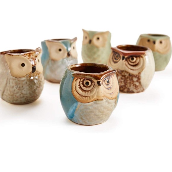 Set of 6 Owl Pot Ceramic Glaze Base Planter Pots - Picture 3 of 4